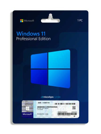 Windows 11 Professional